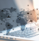 Effective Collaboration in the Digital Age: Strategies for Remote Teams